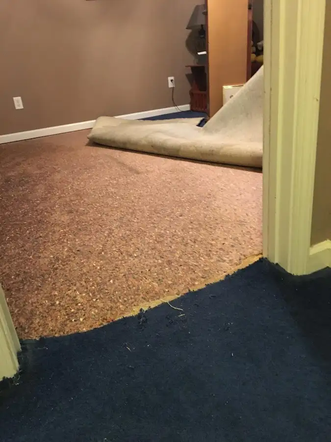 Carpet pad removal revealing water damage during Drying & Dehumidification in Struthers